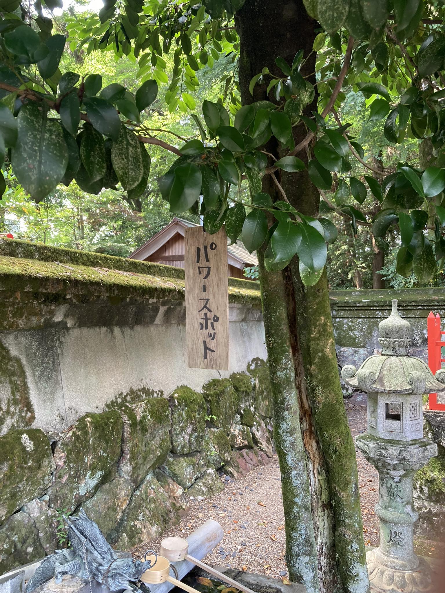 苔むした神社の境内