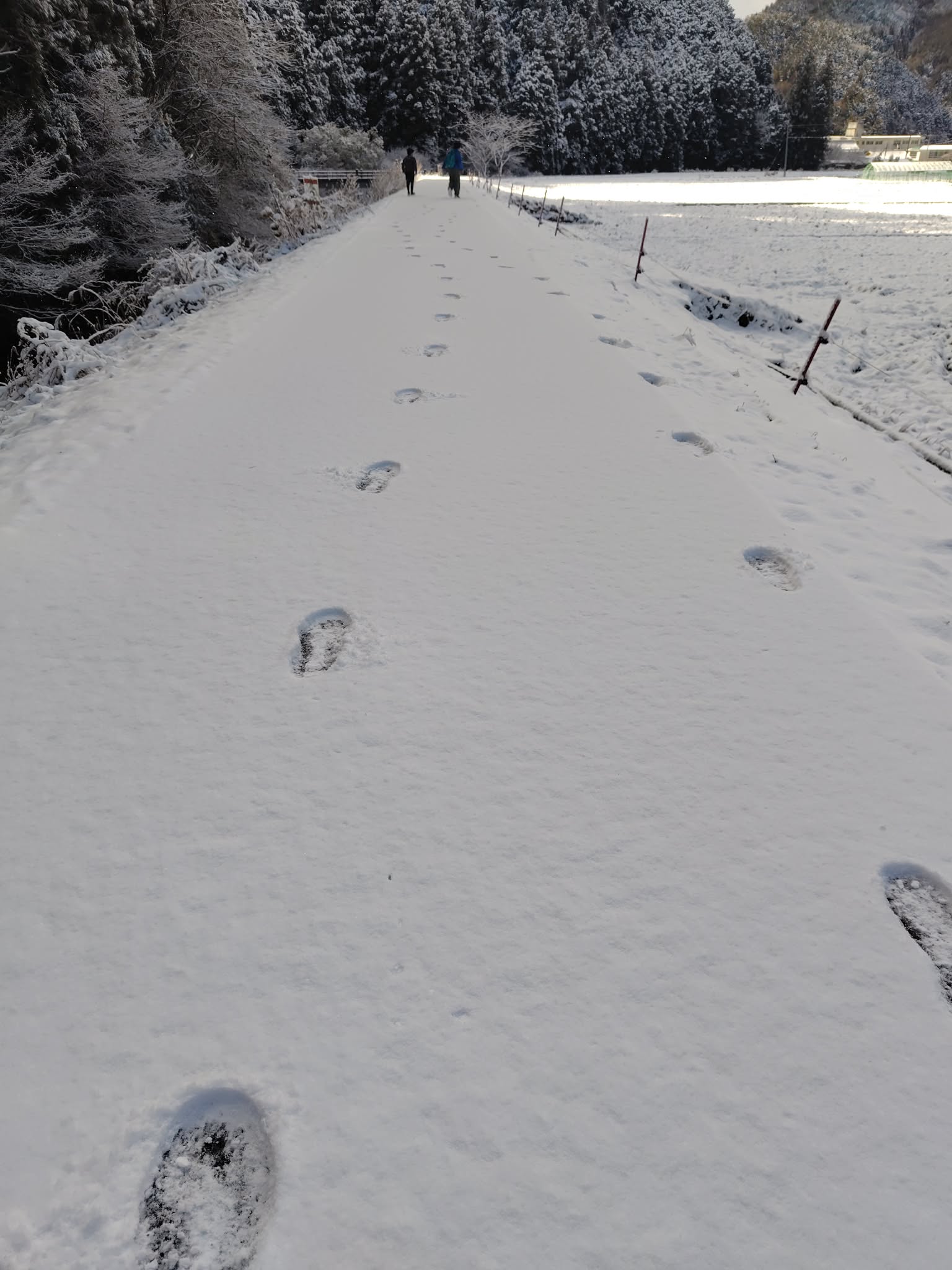 雪原の一本道を歩く足跡